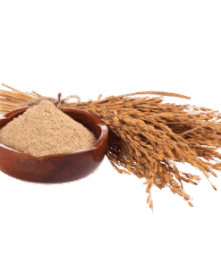 Cám gạo trích ly - Sản phẩm thức ăn chăn nuôi từ Vinimex Group