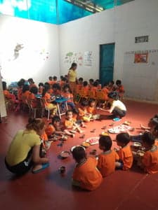 2024 - GIA LAI – KON TUM – ĐẮK LẮK DÒNG AMA NIKOLA - รูปภาพจาก Vinimex Group