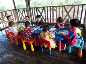 2024 - GIA LAI – KON TUM – ĐẮK LẮK DÒNG AMA NIKOLA - รูปภาพจาก Vinimex Group