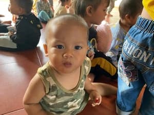 2024 - GIA LAI – KON TUM – ĐẮK LẮK DÒNG AMA NIKOLA - รูปภาพจาก Vinimex Group