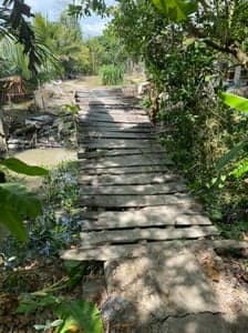 2023 - XÂY CẦU NHÂN NGHĨA 5, 6 - รูปภาพจาก Vinimex Group